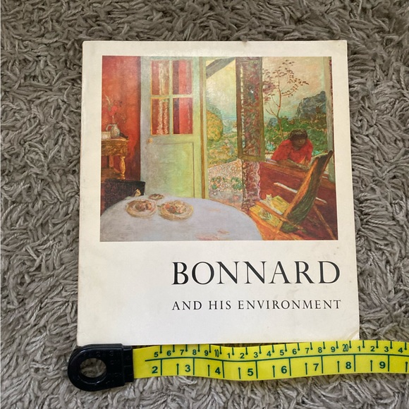 Bonnard and His Environment by SOBY - Pierre Bonnard - Vintage Bonnard Art Book - Picture 3 of 12